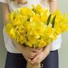 Flores amarillas 21 de marzo